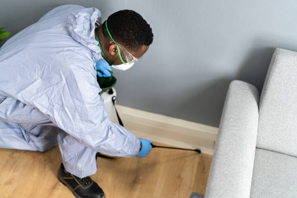 Best Termite Inspection and Treatment  in Jamul, CA